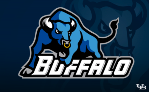 ub-bulls-logo-2